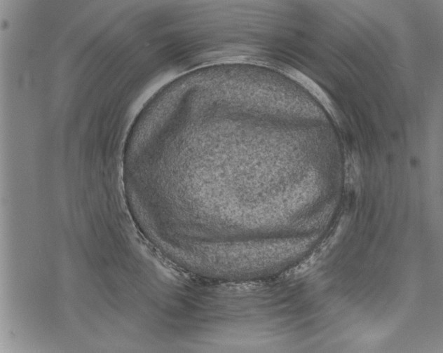 X0000073721051200608241227