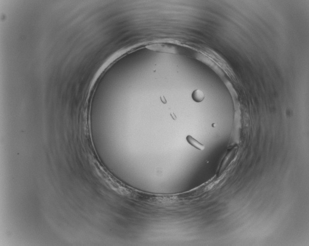 X0000073721052200608241227