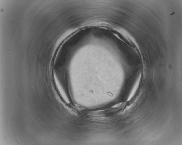 X0000073721053200608241227