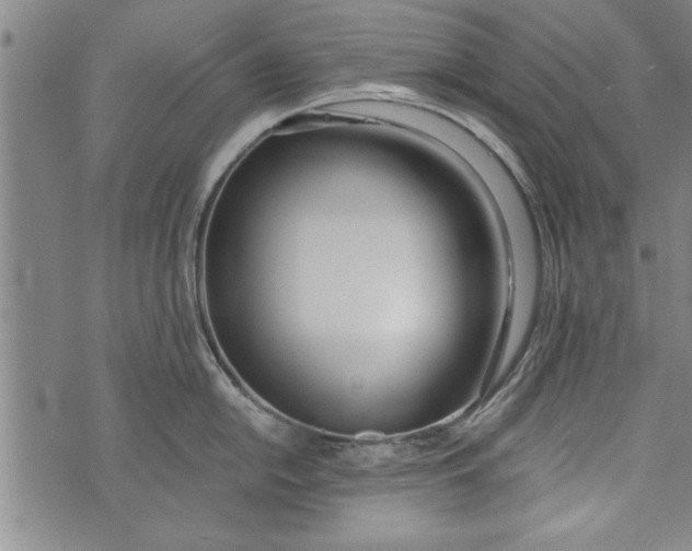 X0000073721054200608241227