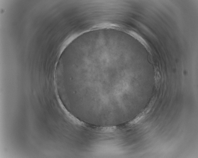 X0000073721055200608241227