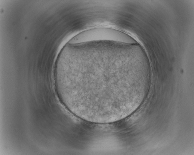 X0000073721056200608241227