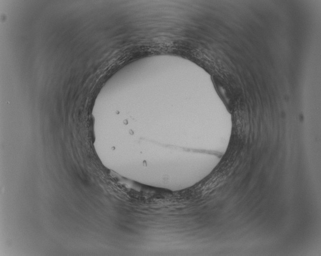 X0000073721057200608241226