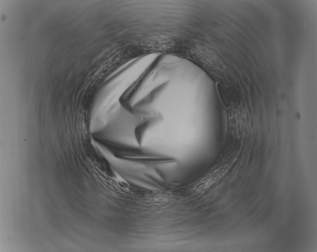 X0000073721058200608241226