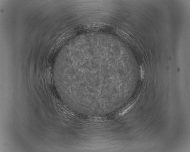 X0000073721059200608241226