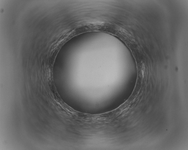 X0000073721061200608241226