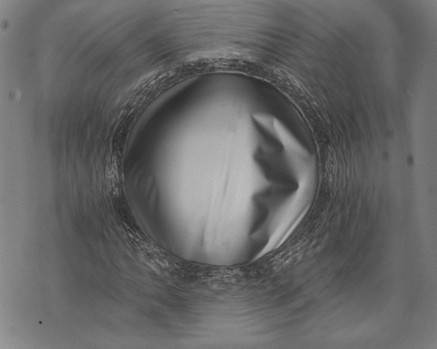 X0000073721062200608241226