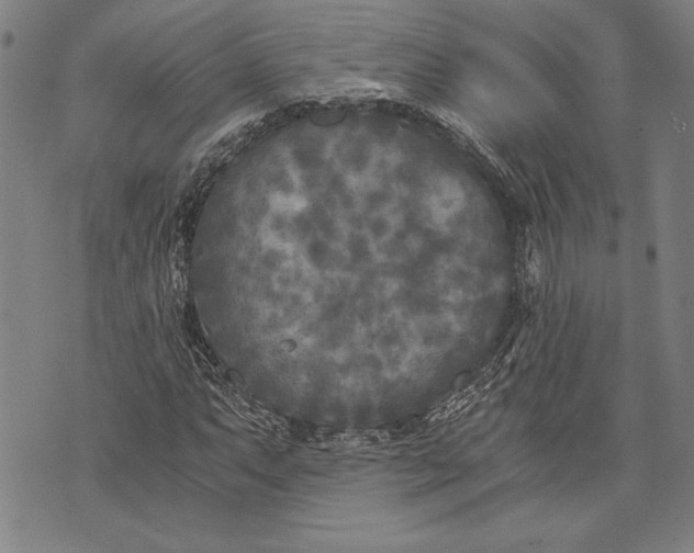 X0000073721063200608241226