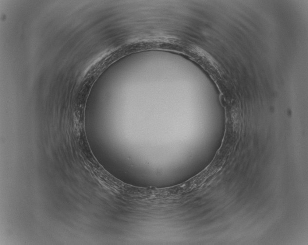 X0000073721064200608241226