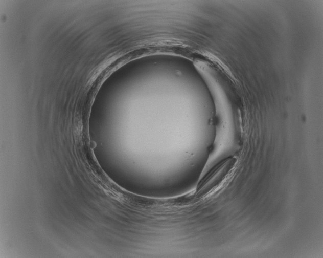 X0000073721065200608241226