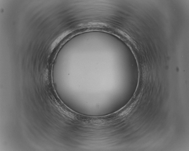 X0000073721066200608241226