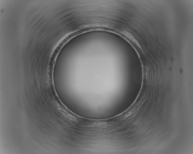 X0000073721068200608241226