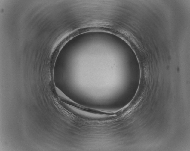 X0000073721069200608241226