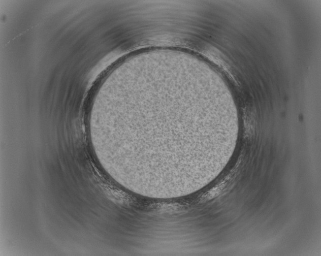 X0000073721070200608241226