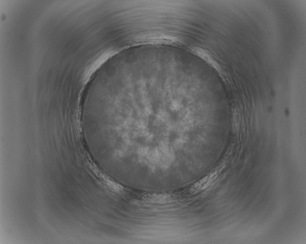 X0000073721071200608241226