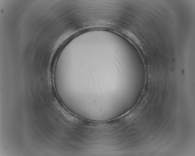 X0000073721072200608241226