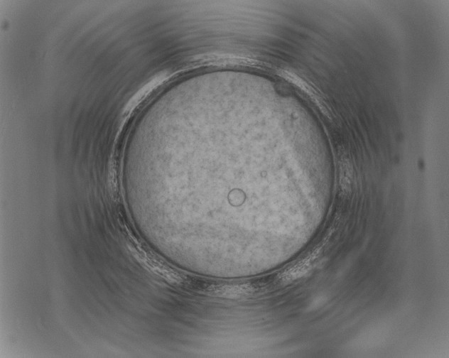 X0000073721074200608241226