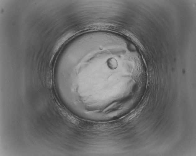 X0000073721075200608241226