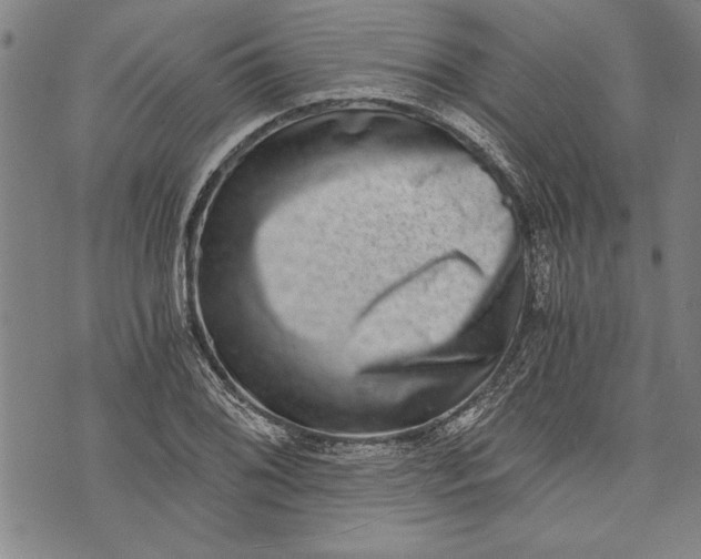 X0000073721076200608241226