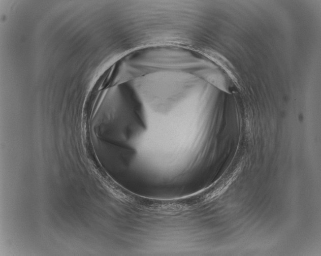 X0000073721077200608241226