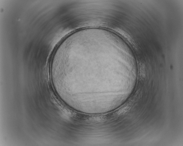 X0000073721078200608241226