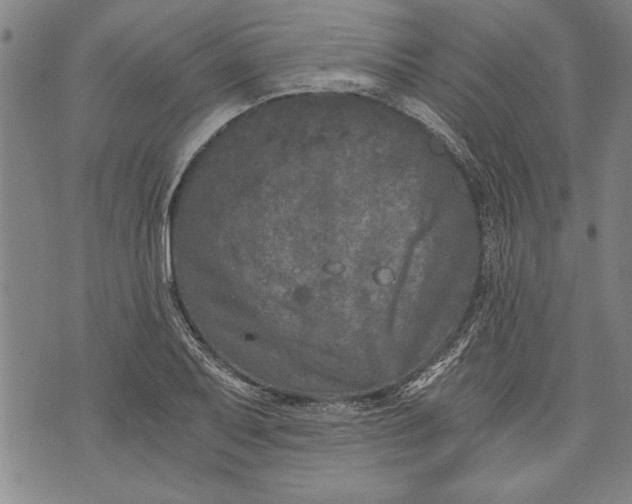 X0000073721079200608241226