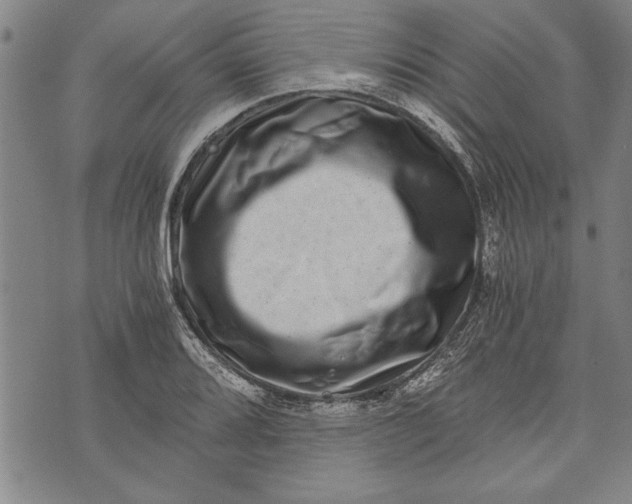 X0000073721080200608241226