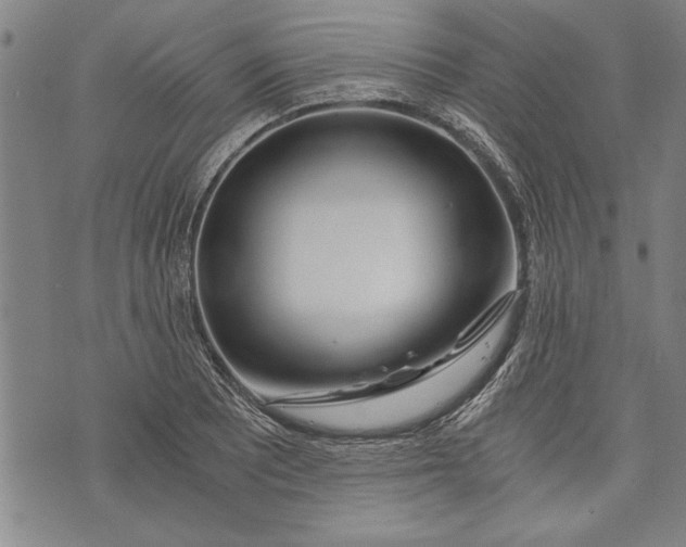 X0000073721081200608241226