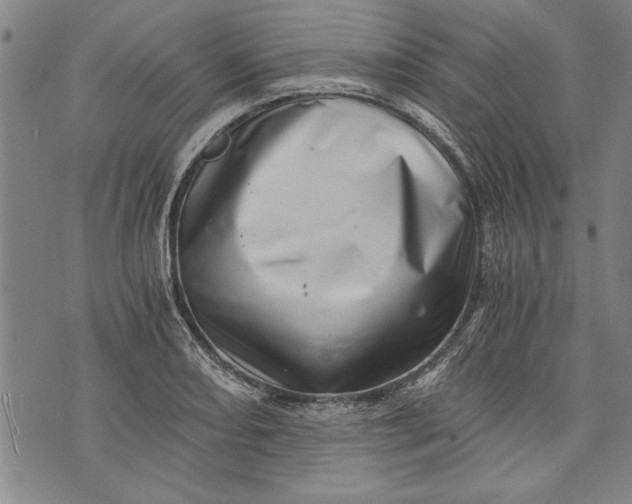 X0000073721082200608241226