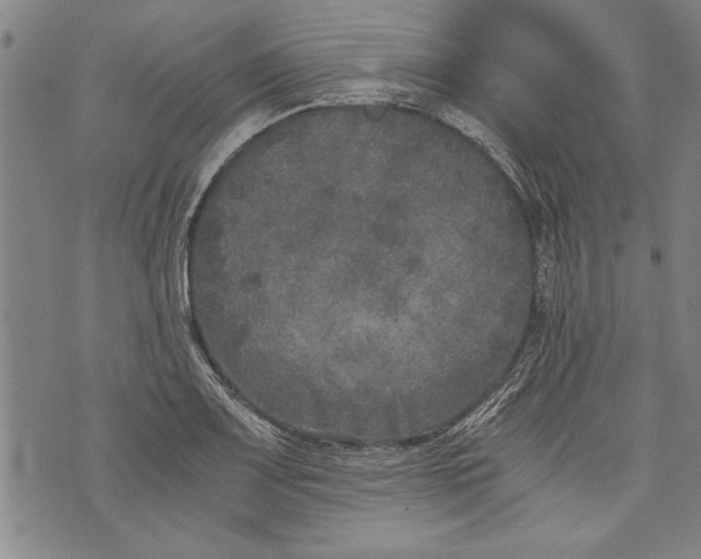 X0000073721083200608241226