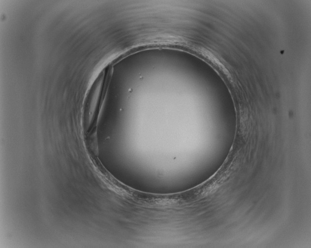 X0000073721085200608241226