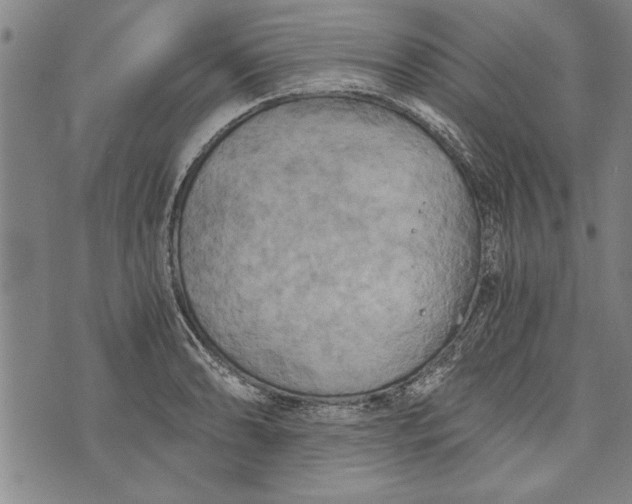 X0000073721086200608241226