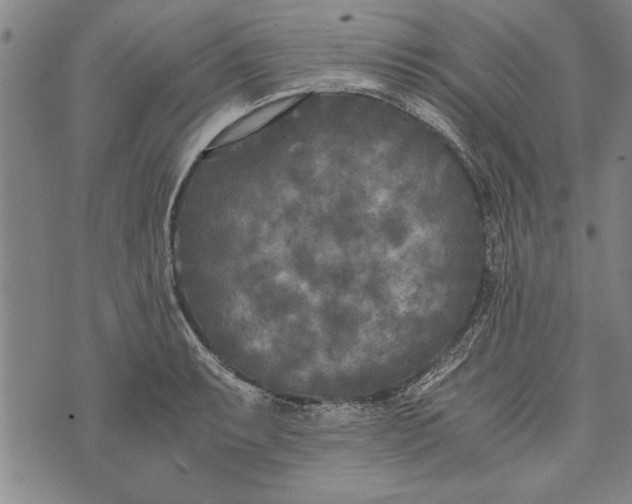 X0000073721087200608241226