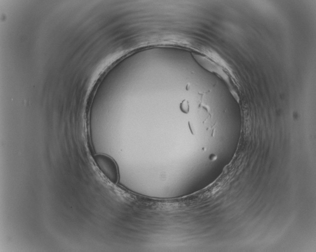 X0000073721088200608241226