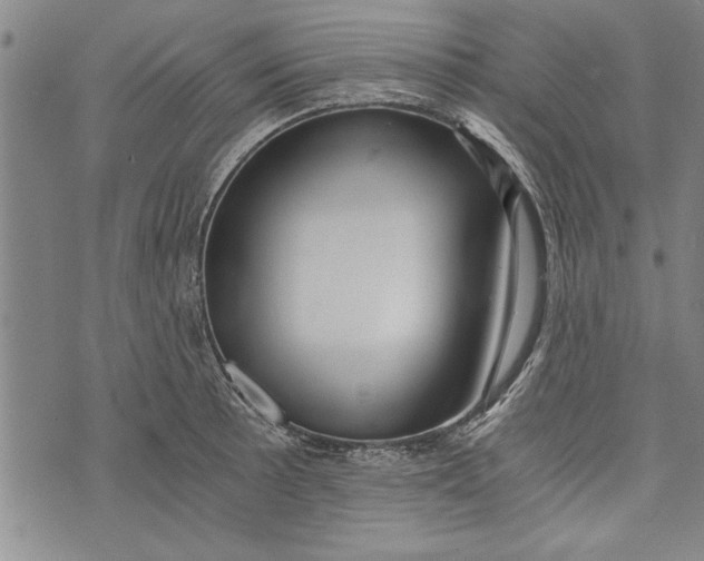 X0000073721089200608241226