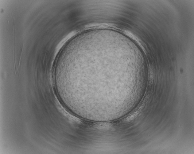 X0000073721090200608241226