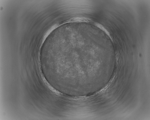 X0000073721091200608241226