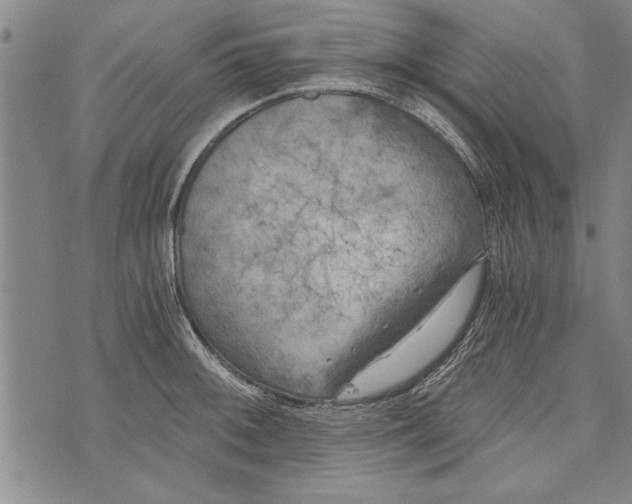 X0000073721092200608241226