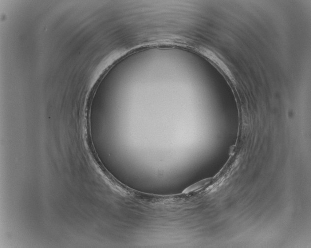 X0000073721093200608241226