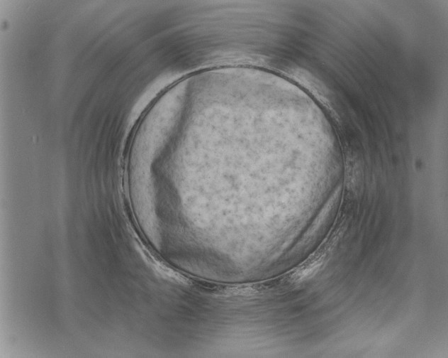 X0000073721094200608241226