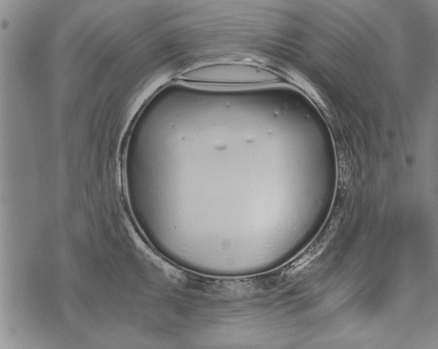 X0000073721095200608241226