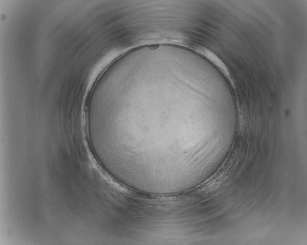 X0000073721096200608241226