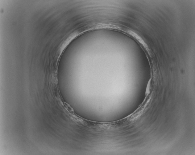 X0000073721097200608241226