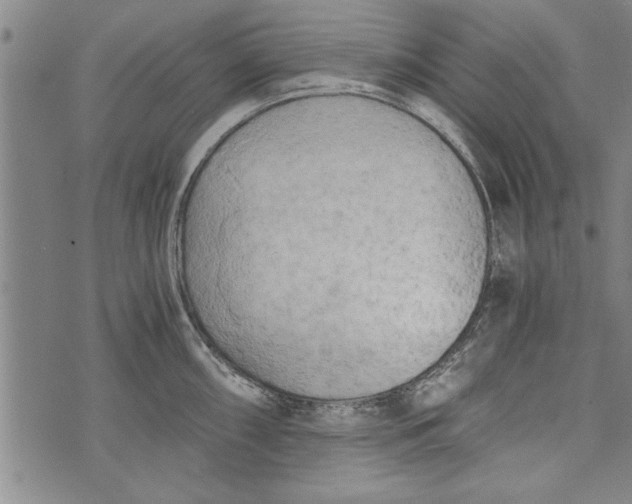 X0000073721098200608241226