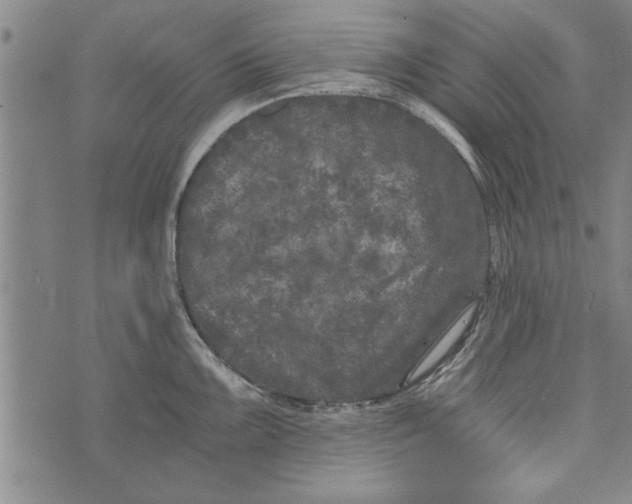 X0000073721099200608241226