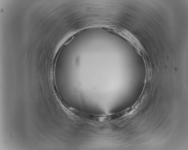 X0000073721101200608241226