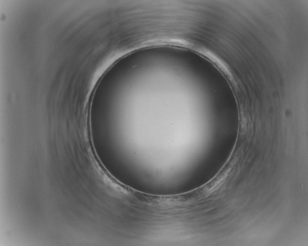 X0000073721102200608241226