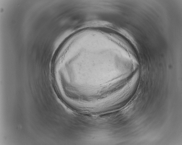 X0000073721103200608241226