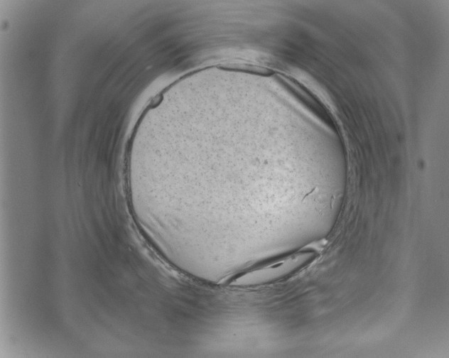 X0000073721104200608241225