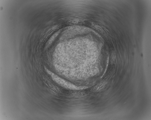 X0000073721105200608241225